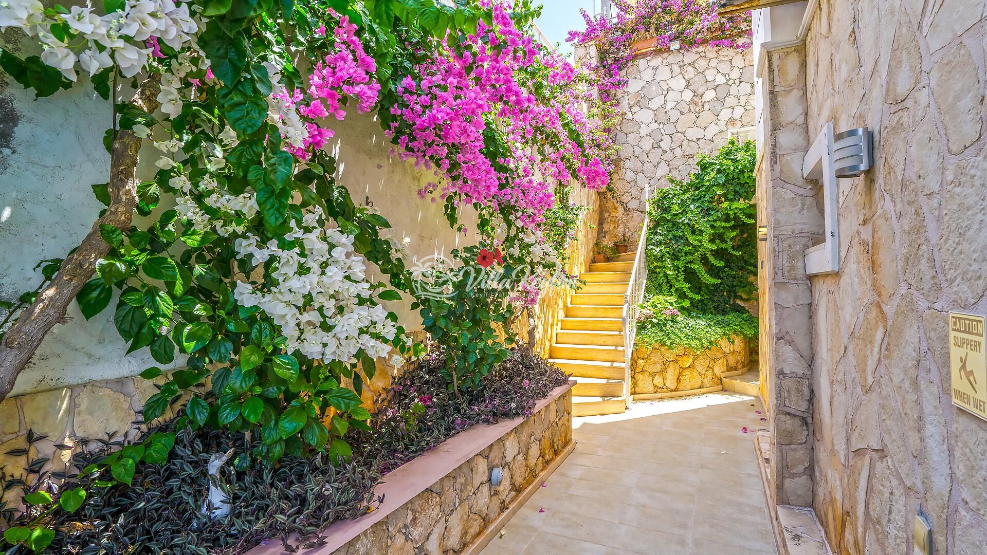 Villa White Star — 52