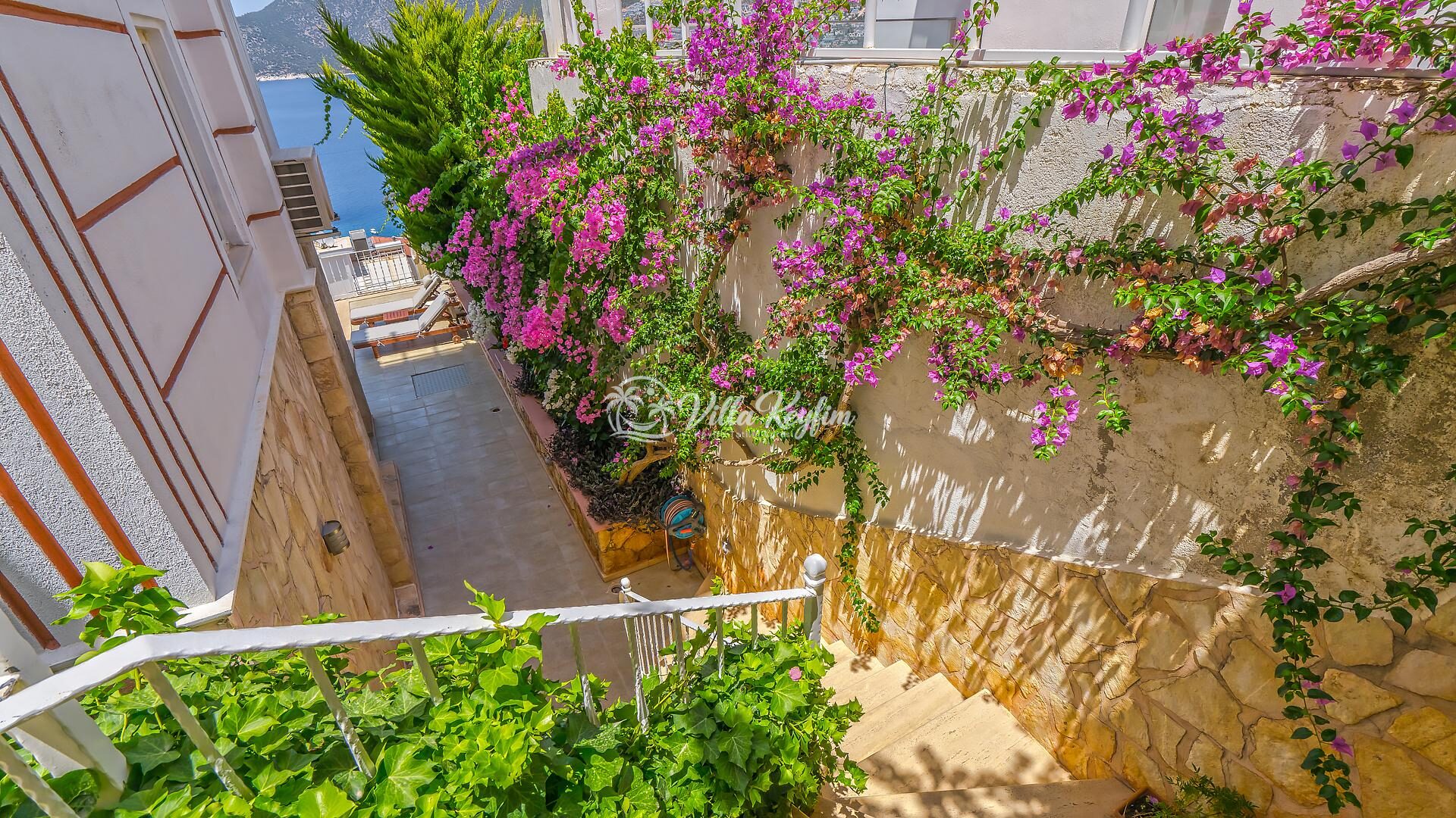 Villa White Star — 53