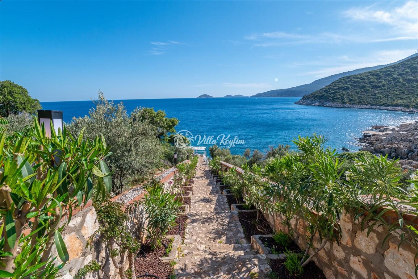 Villa Elana 1 — 50