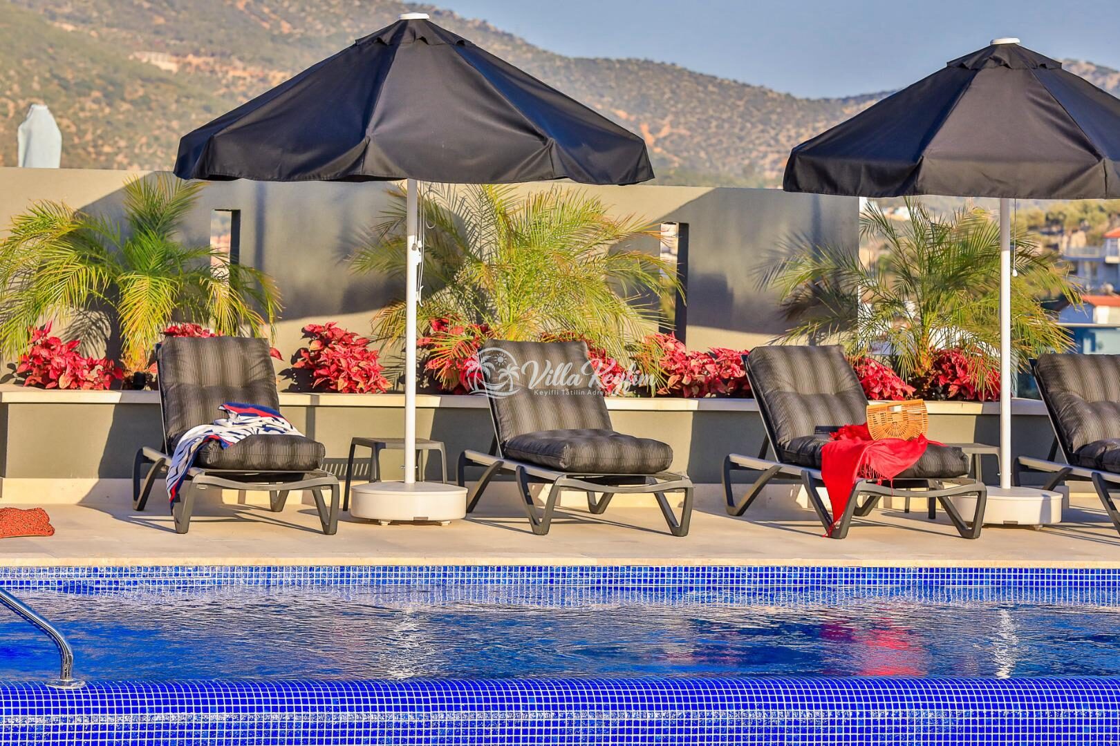 Villa Dreams — 43