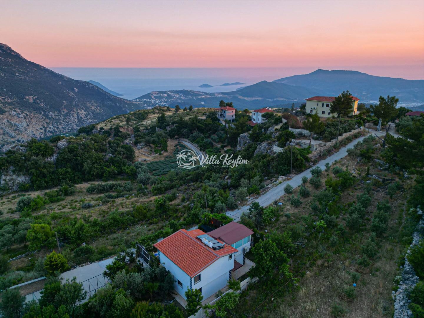 Villa Tepes — 82