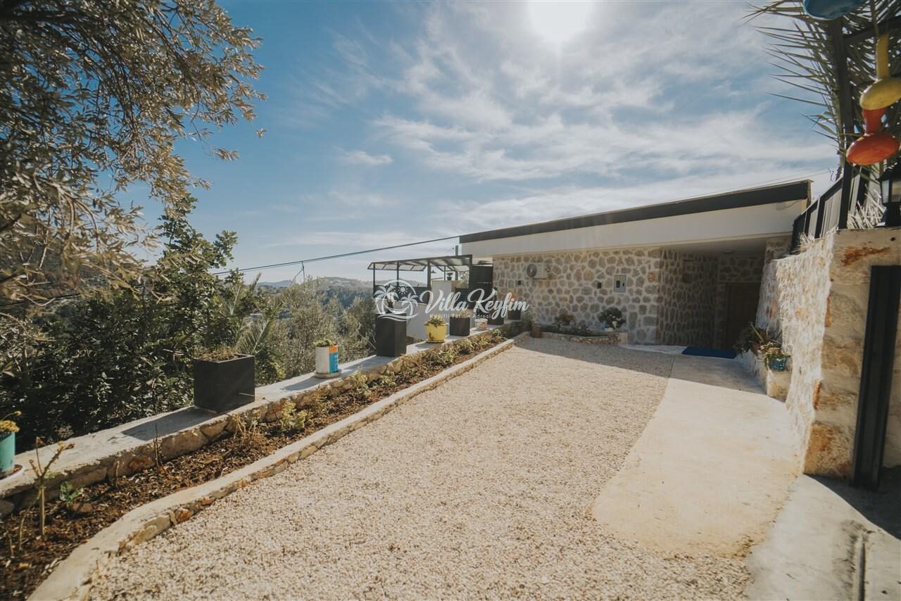 Villa Oliva — 22