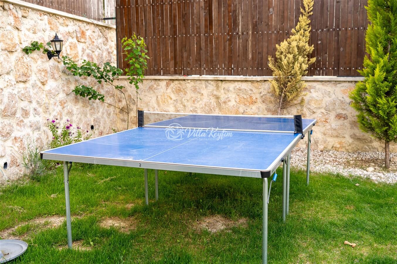 Villa Fiesta — 5