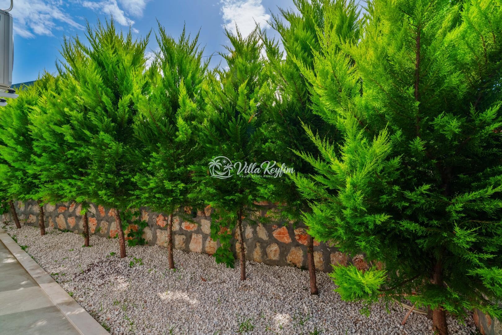Villa Elena 1 — 37