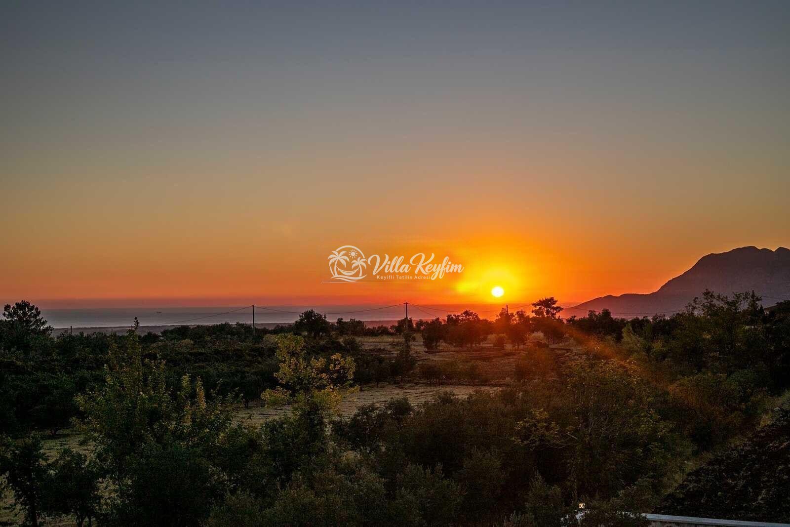 Villa Olivet — 7