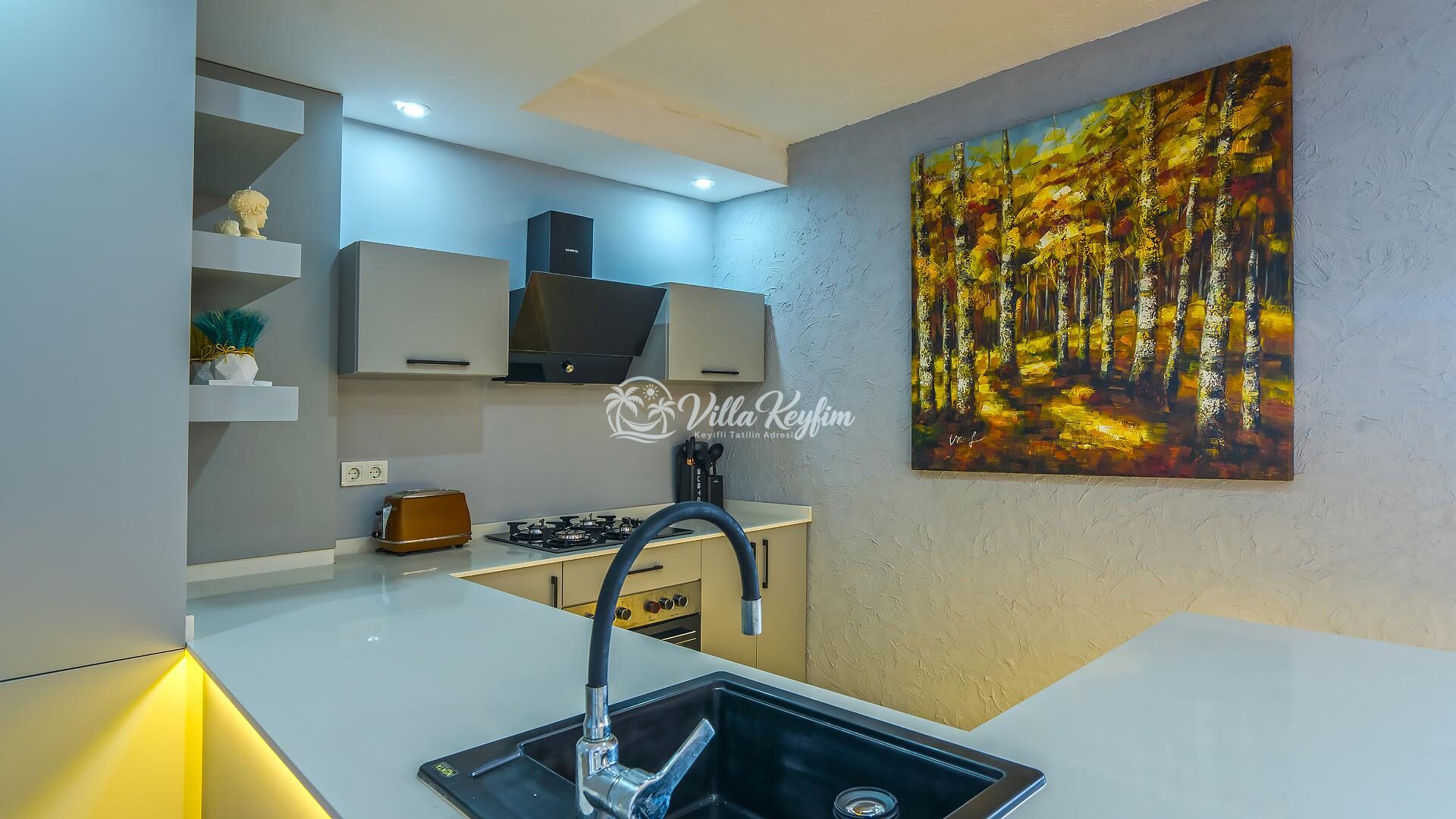 Villa Uğurlu Kışla — 46