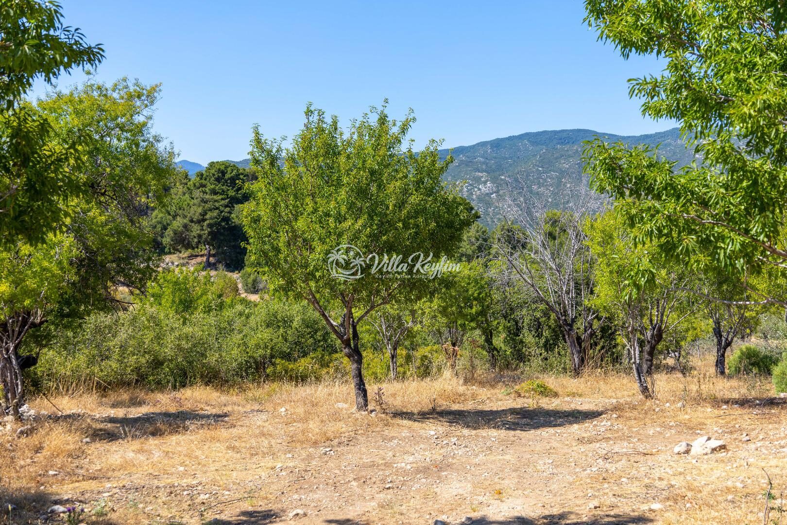 Villa Desiderio — 36