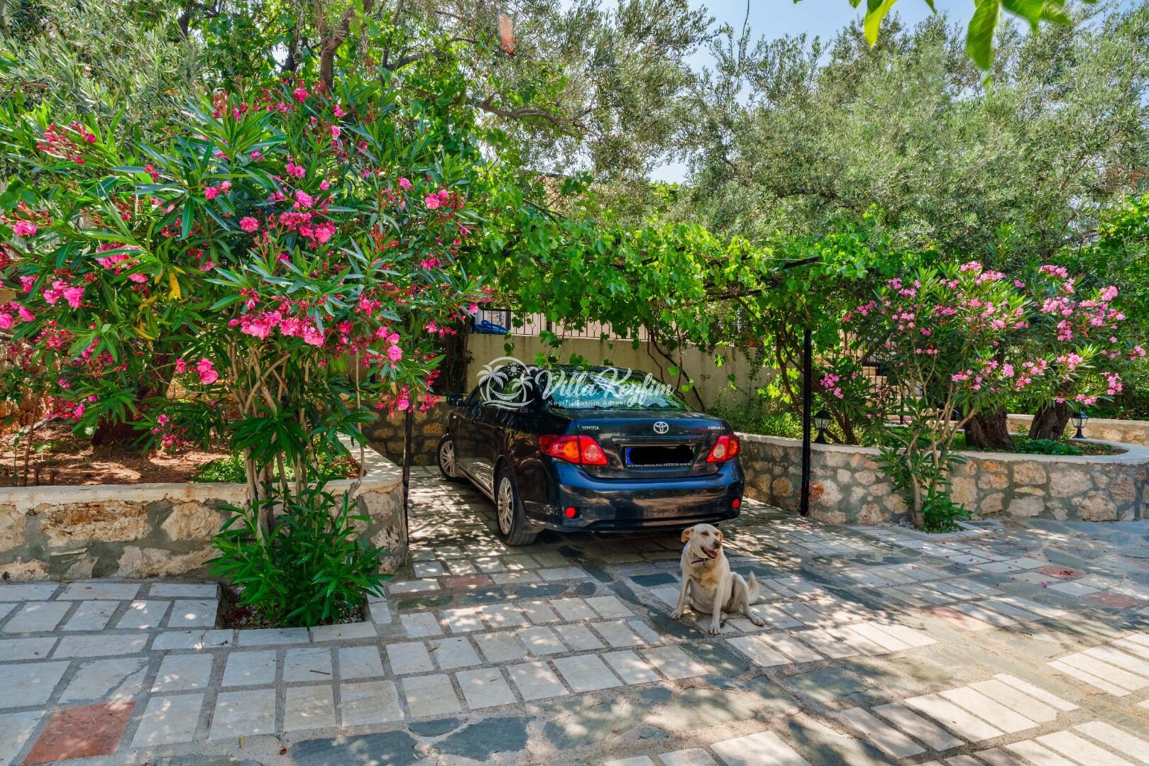 Villa Samyeli — 18