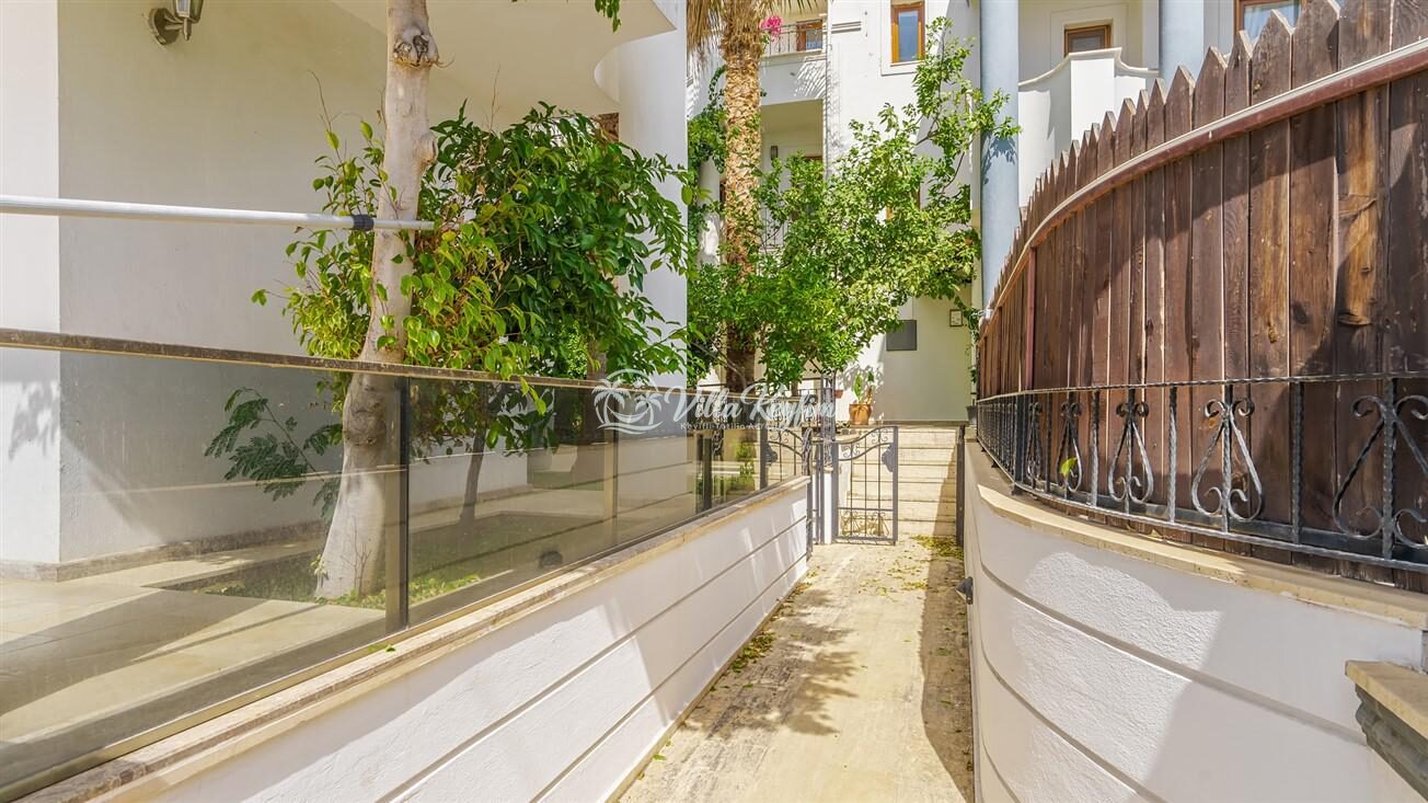 Villa Palm — 55