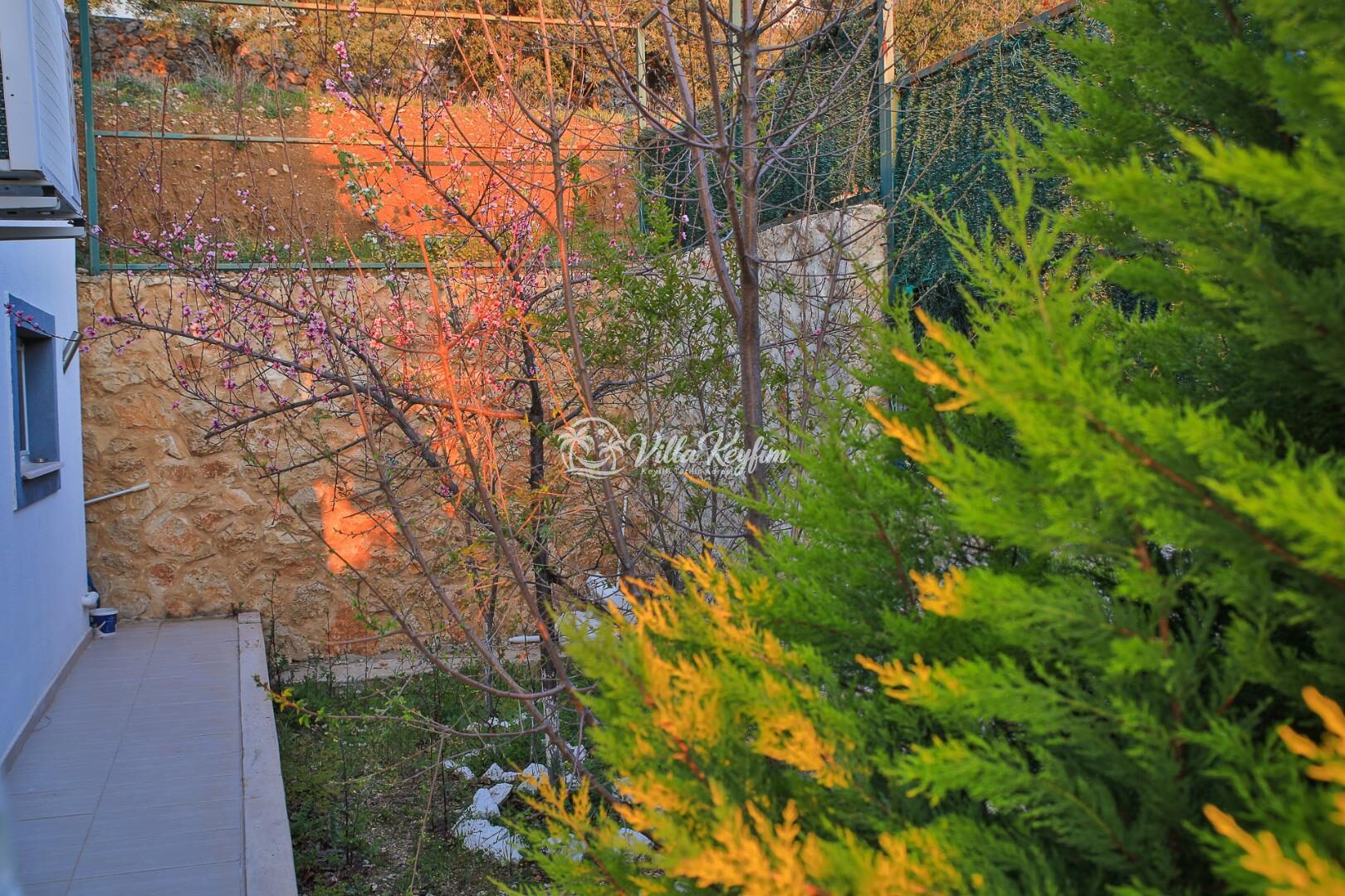 Villa Melisa — 45