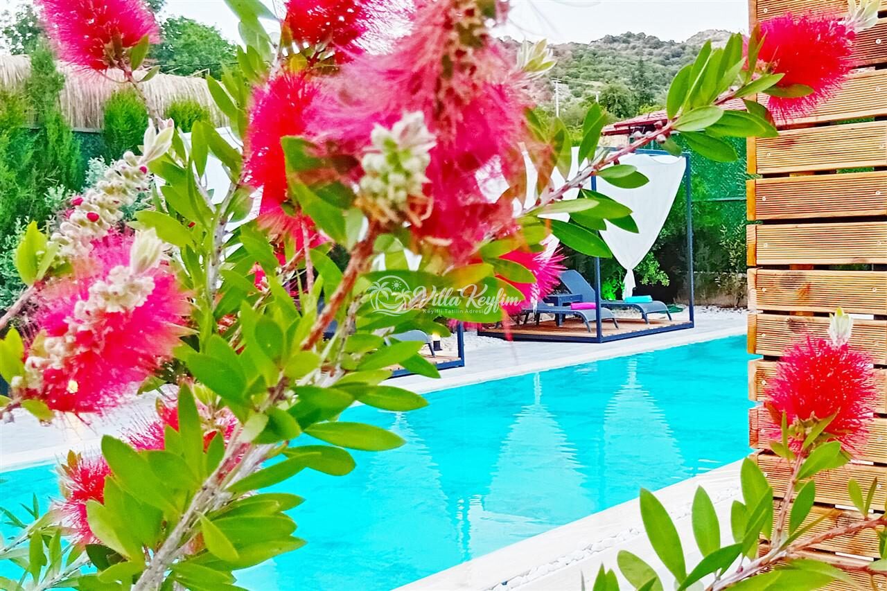 Villa Mamon Luxury Life — 9