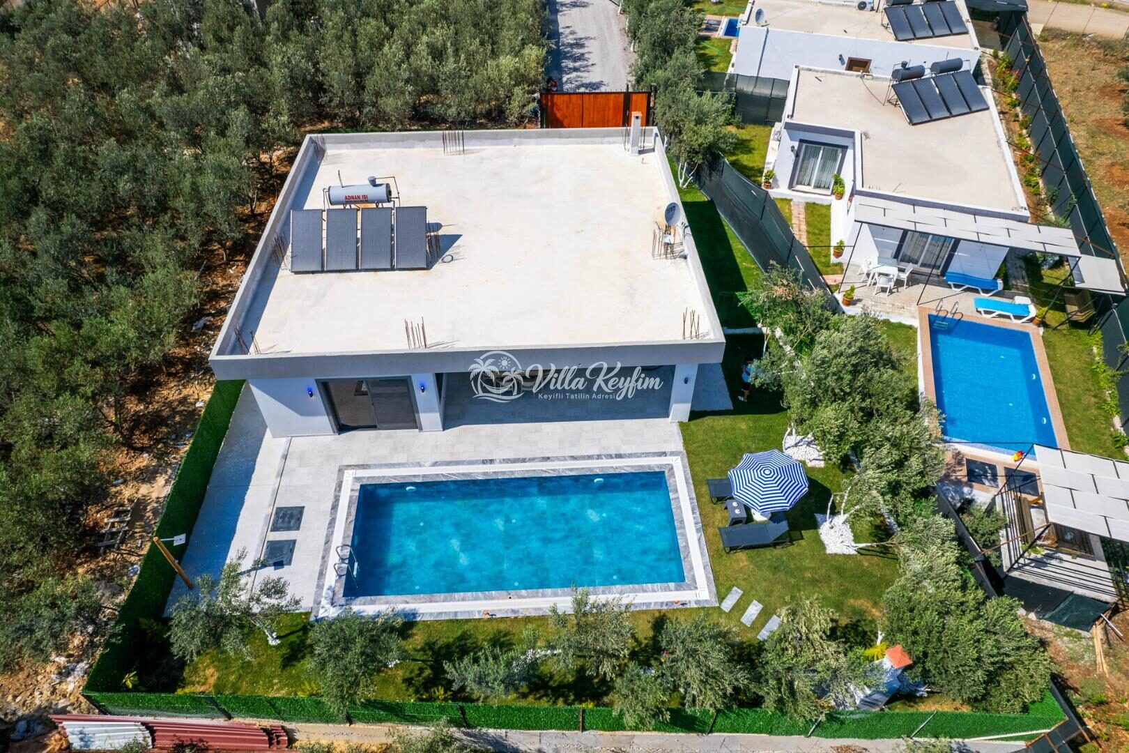 Villa Olive — 49