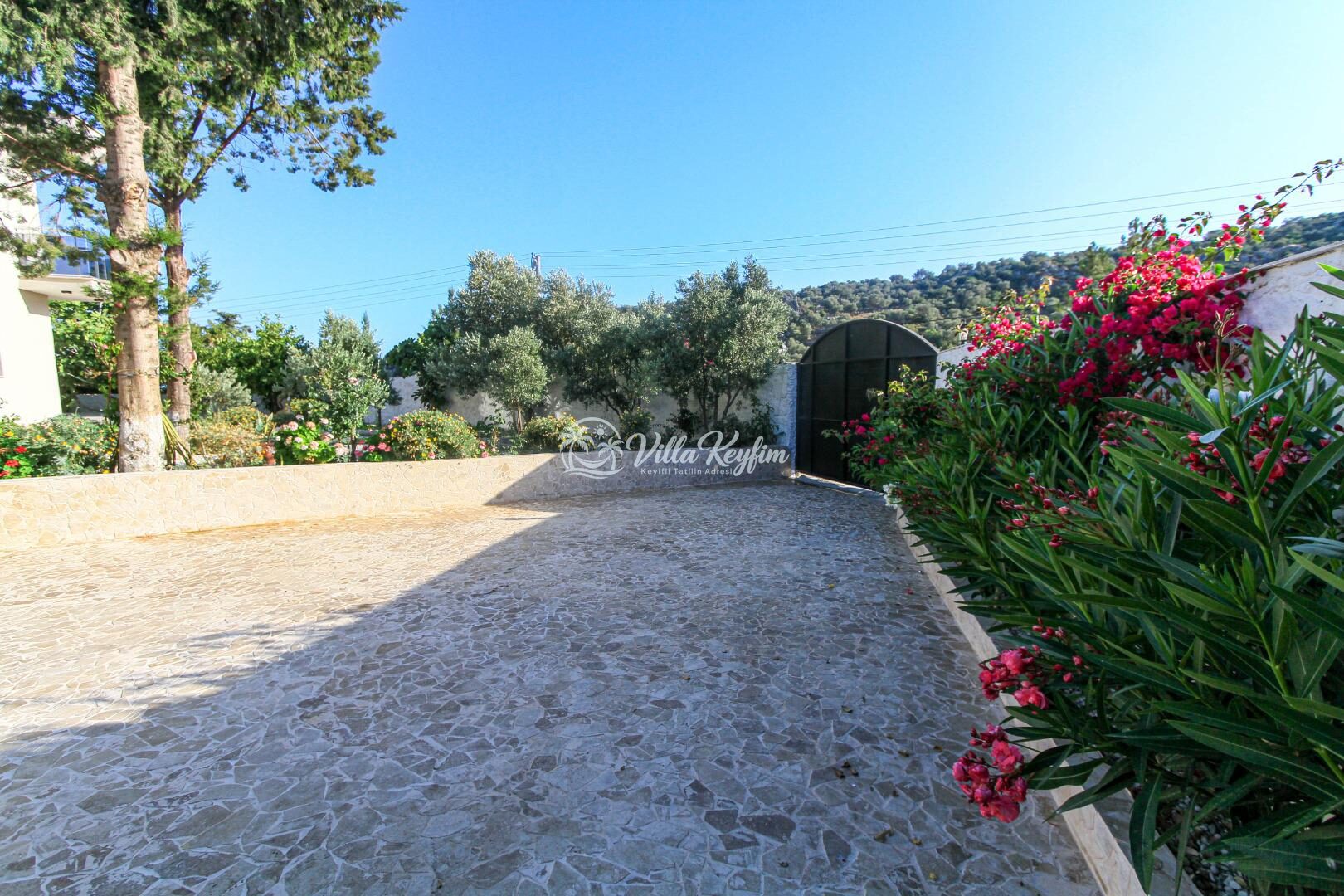 Villa Aristo — 8