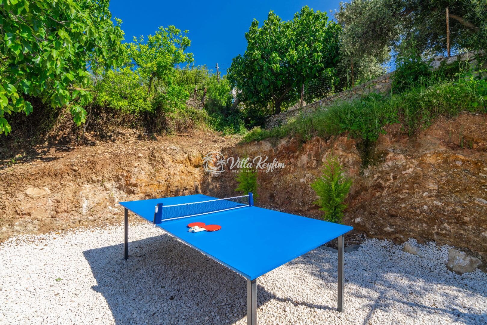 Villa Nar Çiçeği Üzümlü — 17