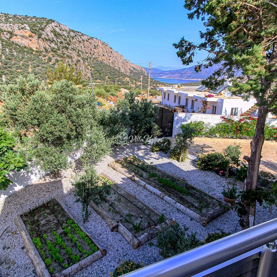 Villa Aristo — 17