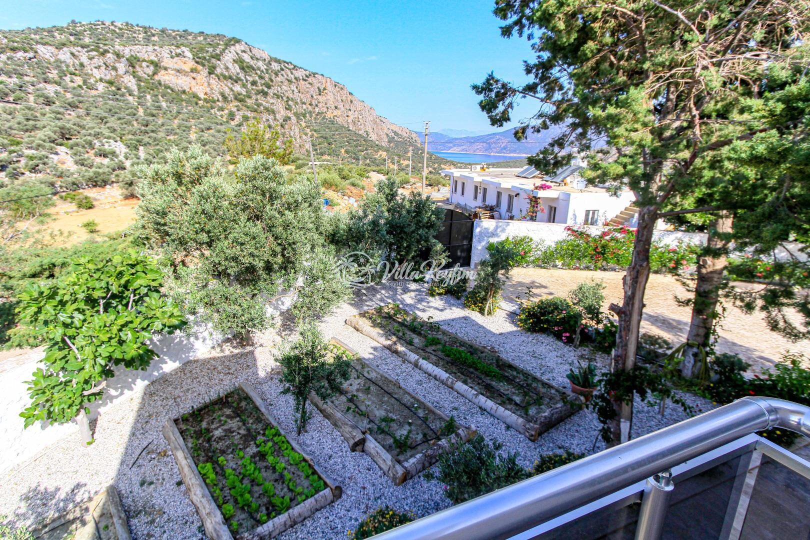 Villa Aristo — 46