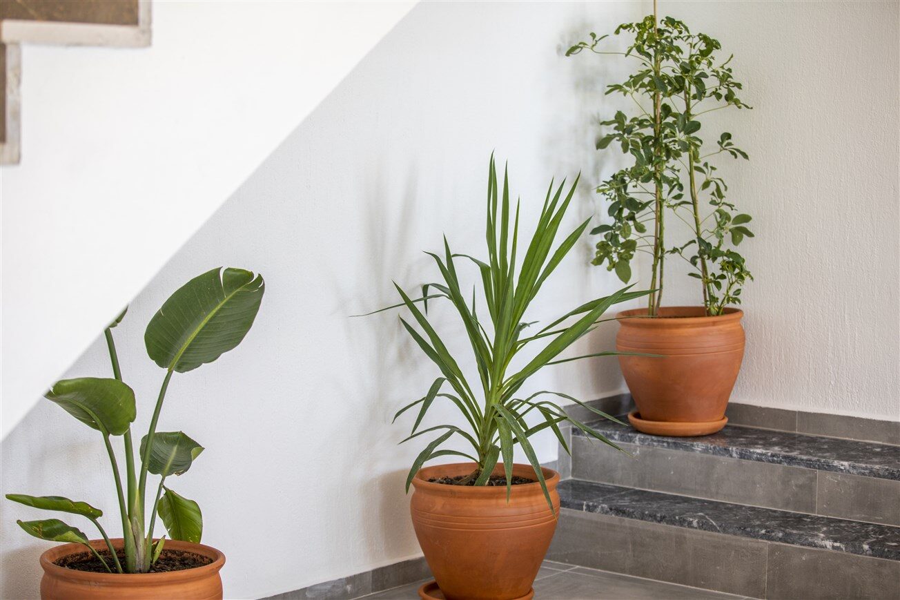 Villa Larmina — 33