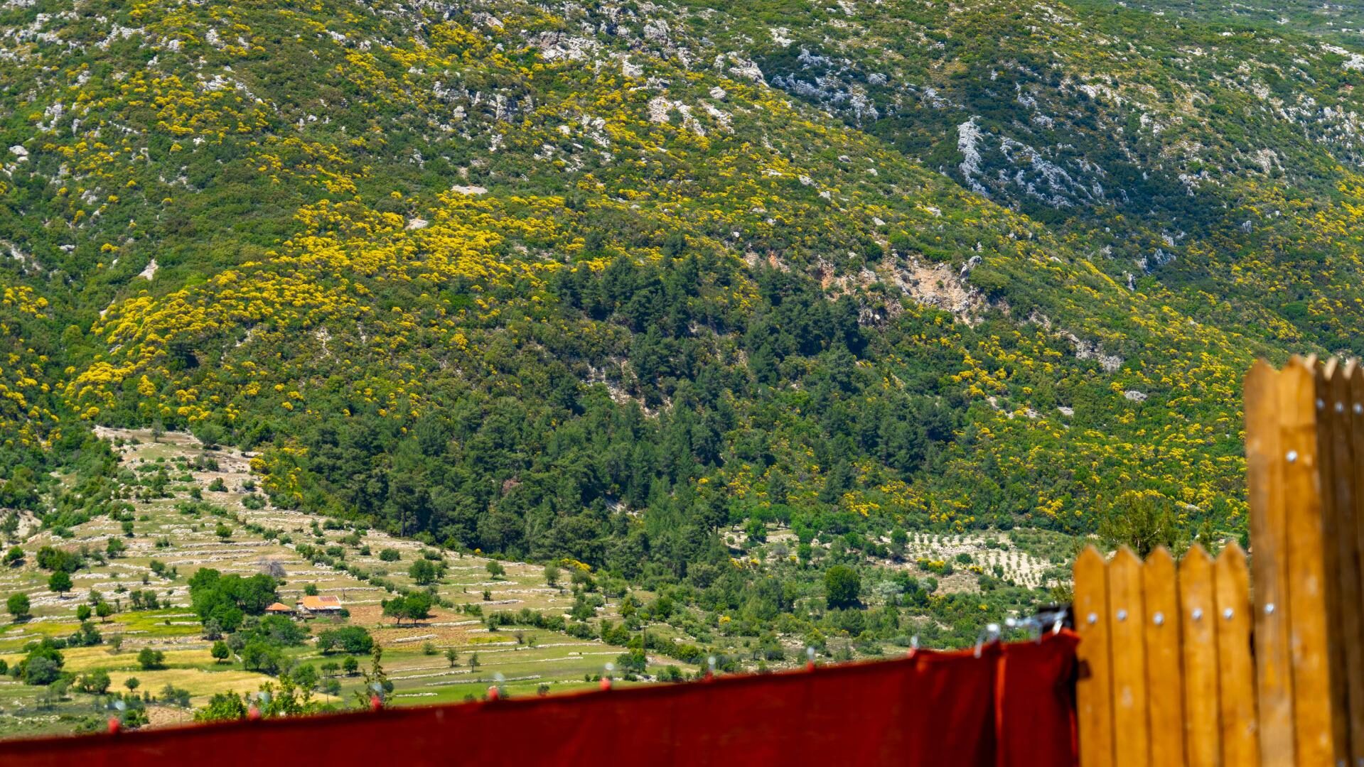 Villa Dinçer Sarıbelen — 49