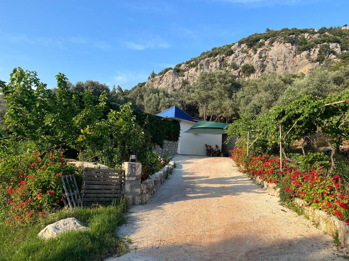 Villa Yaşam — 64