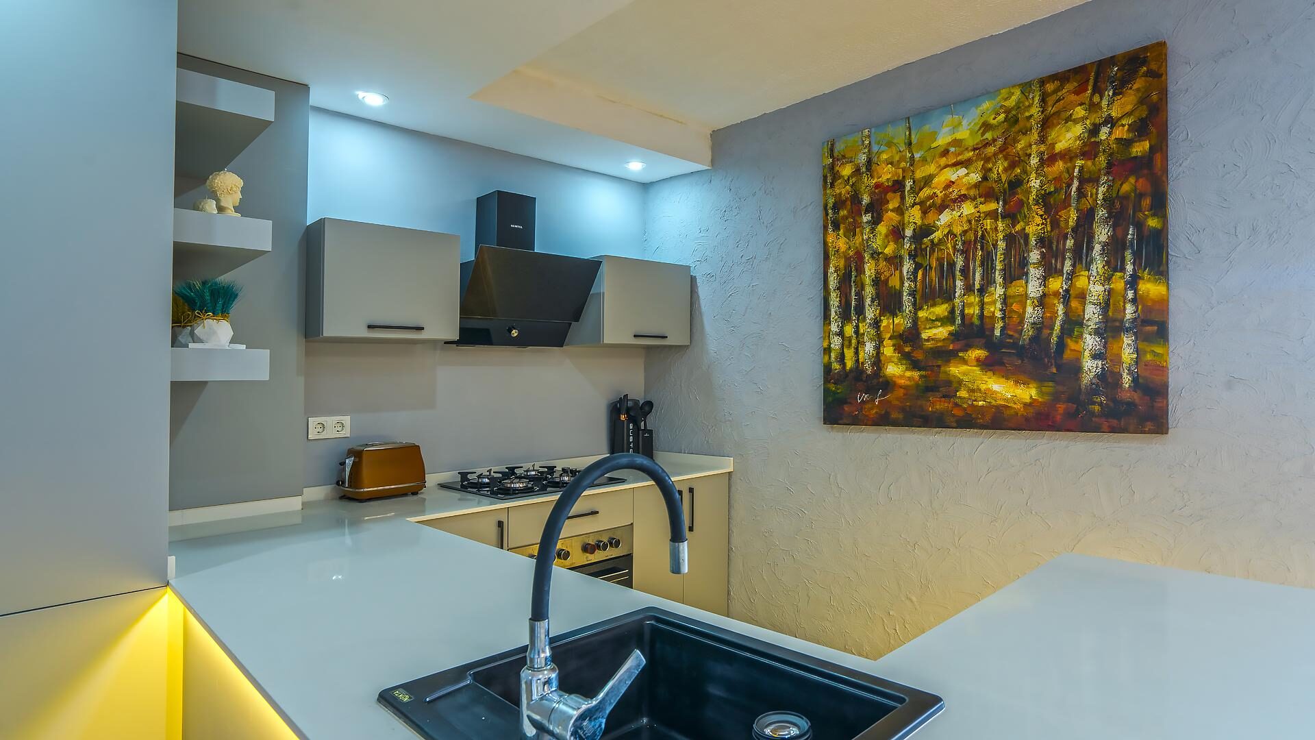 Villa Uğurlu Kışla — 46