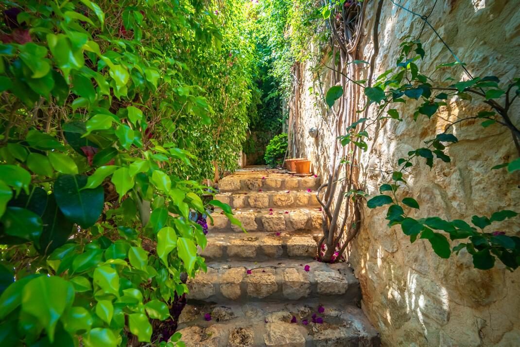 Villa Melisa 1 — 49