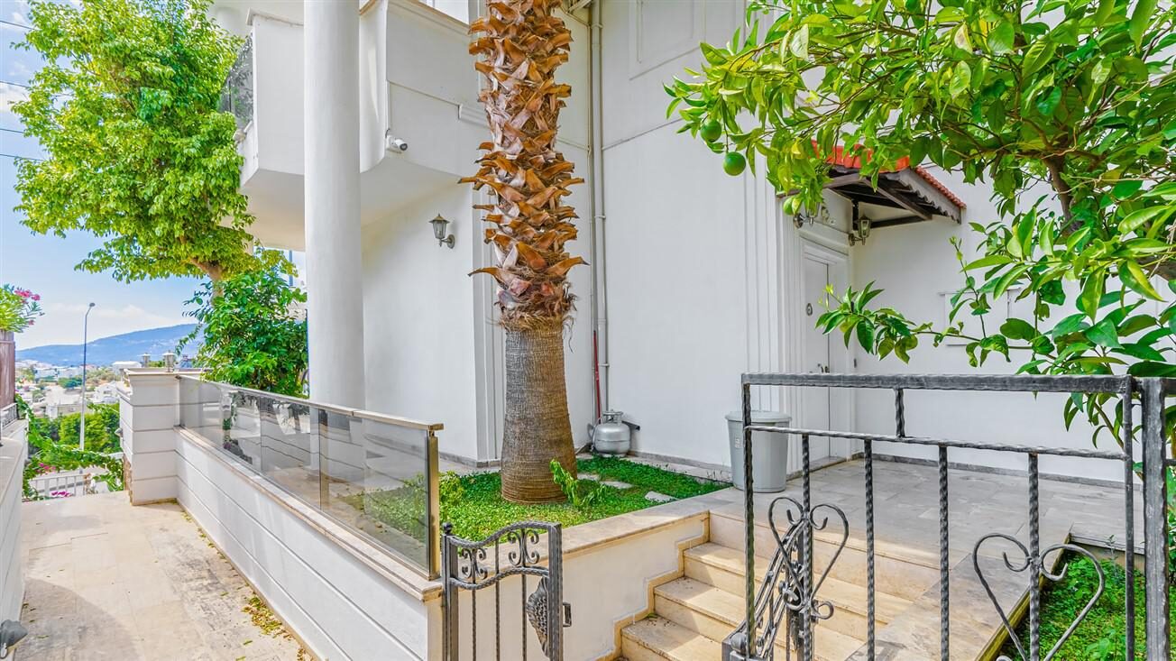 Villa Palm — 51