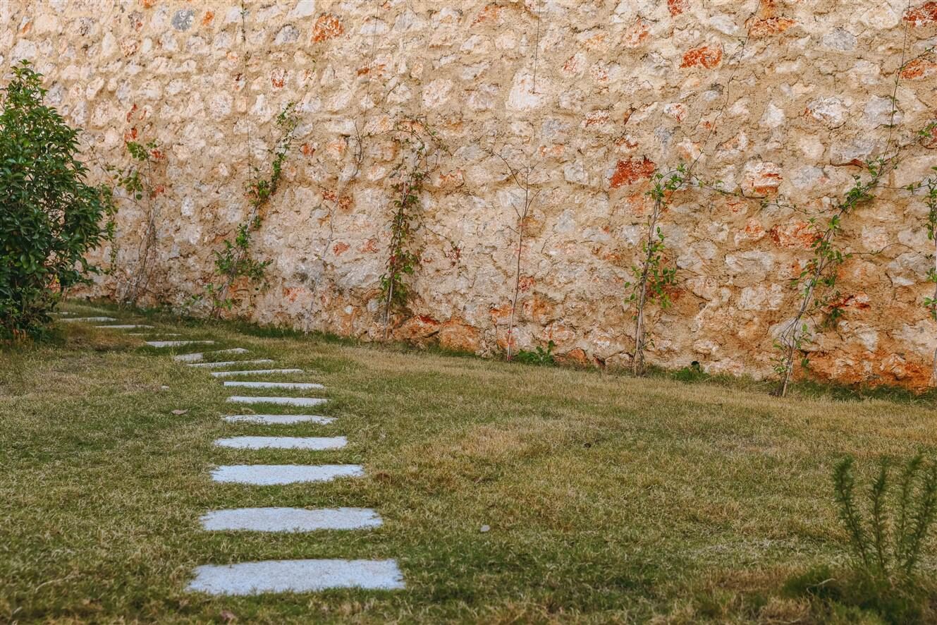 Villa Albatros 2 — 54