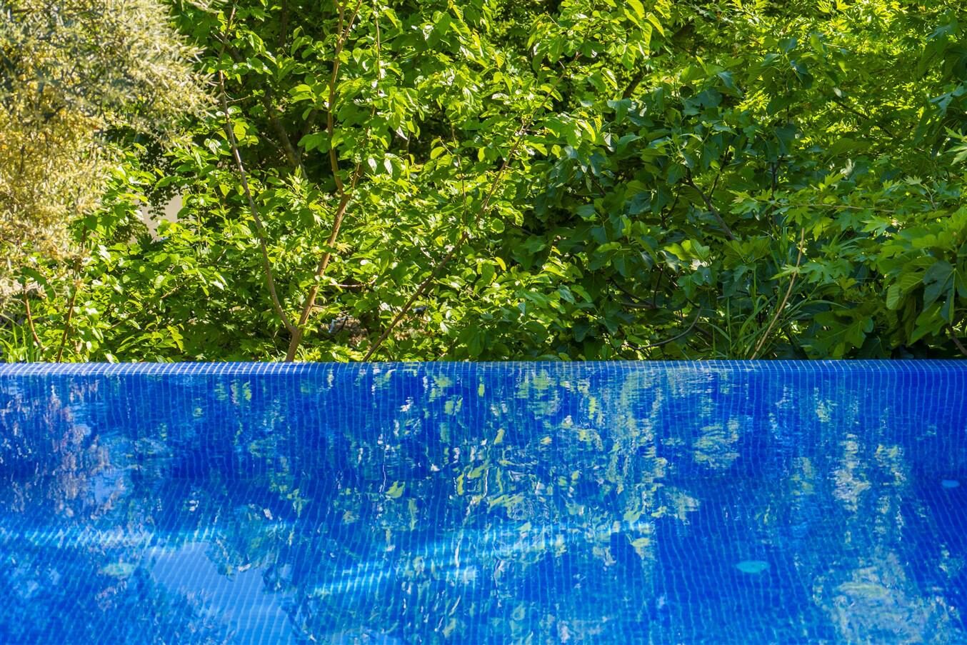 Villa Botanik — 27